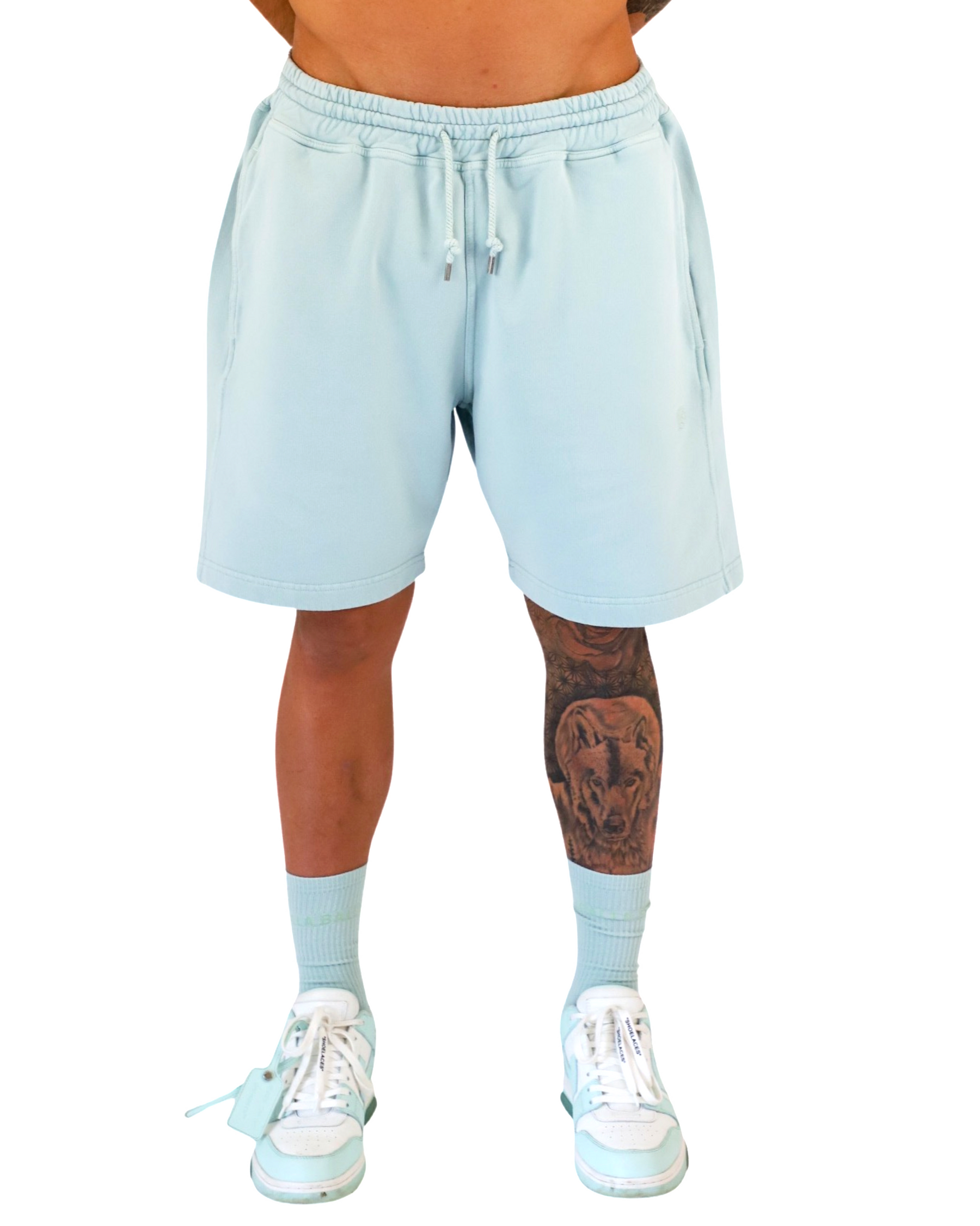 ALL-TIMES SHORTS WASHED-OUT GLACIER GREEN 